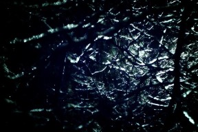 世界举重锦标赛：青训体系的成效进入视野，世界举重锦标赛视频