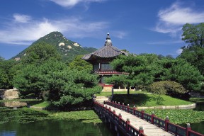 世界体能挑战赛：专项测试标准化促进跨国人才比较与交流，体能世界纪录
