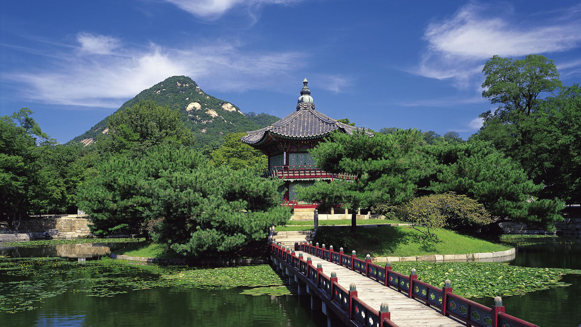 世界体能挑战赛:专项测试标准化促进跨国人才比较与交流,体能世界纪录